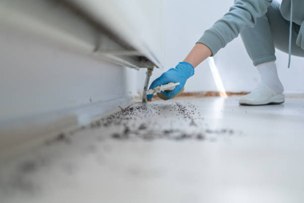 Professional Pest Control in Heidelberg, PA