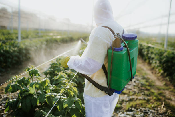 Insect Control in Heidelberg, PA